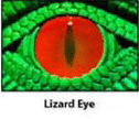 lizardeye.gif